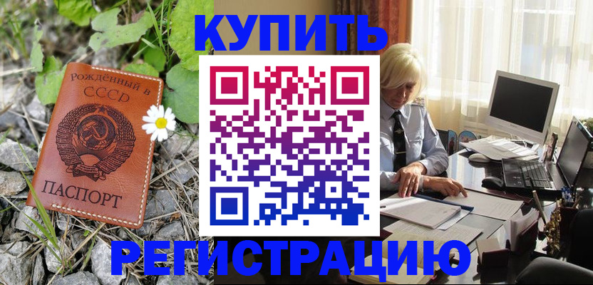 временная регистрация недорого в Светогорске